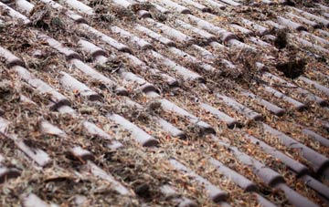 Binsted roof cleaning companies