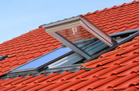 Binsted roof window